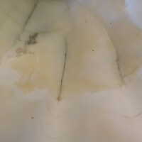          Shell picture number 58
