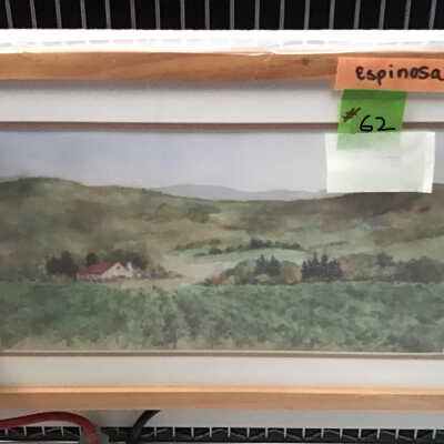Henderson “Vineyard”
