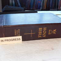          Family Bible picture number 244
