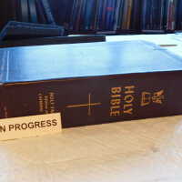          Family Bible picture number 245
