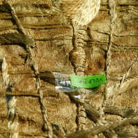          Client: Smith. Item: Japanese Embroidery with Cranes picture number 111

