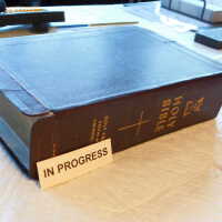          Family Bible picture number 246
