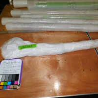          Textile and Tribal Arts Show Rehousing Project picture number 105
