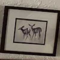 Two deer