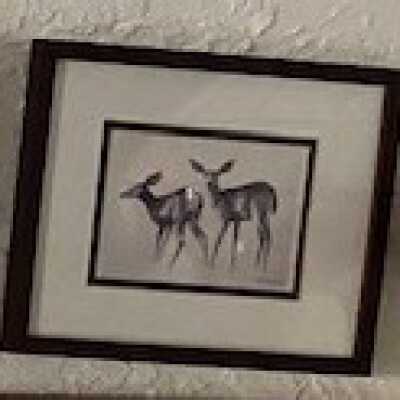 Two deer