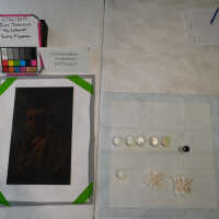 “The Optimist” - Image 21