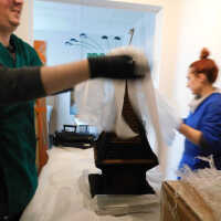          Textile and Tribal Arts Show Rehousing Project picture number 226
