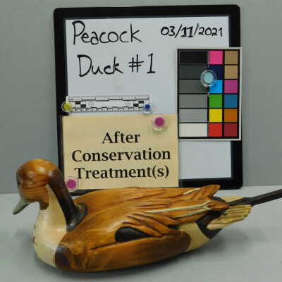 Wooden Duck