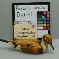          Wooden Duck picture number 4
