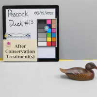          Wooden Duck picture number 1
