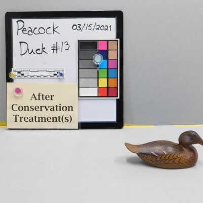 Wooden Duck