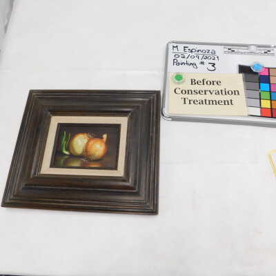 Onions still life