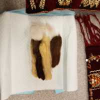          3 textiles and wool samples picture number 3
