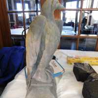          Lead Eagle (facing left) picture number 10
