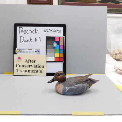Wooden Duck
