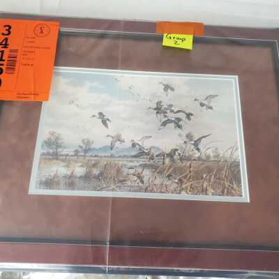 Birds flying over the marsh