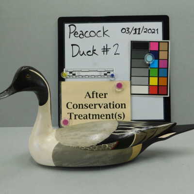 Wooden Duck