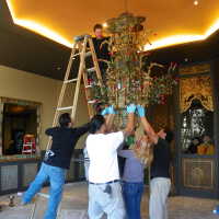          Golden Room picture number 275
