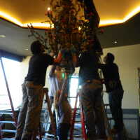          Golden Room picture number 283
