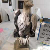          Lead Eagle (facing left) picture number 17
