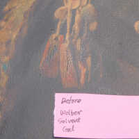 “The Optimist” - Image 44