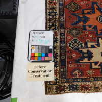          Oriental Rug picture number 2
