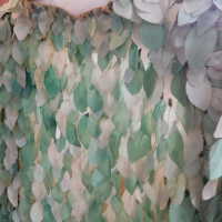          Leaf Capelet picture number 63
