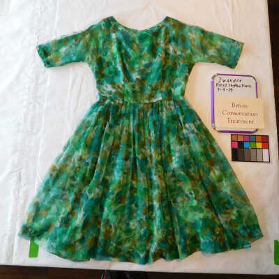 Client: Zwander. Item: Ricci Chiffon Dress