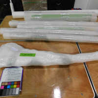          Textile and Tribal Arts Show Rehousing Project picture number 93
