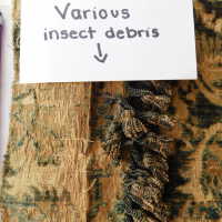          Drapery picture number 39
