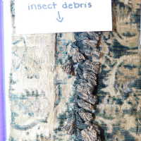          Drapery picture number 40
