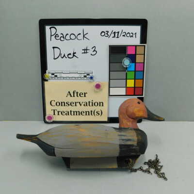 Wooden Duck