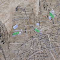          Client: Smith. Item: Japanese Embroidery with Cranes picture number 133
