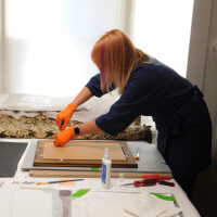 “The Optimist” - Image 175