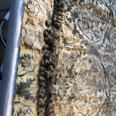 Crepeline along bottom edge of drape