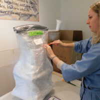          Textile and Tribal Arts Show Rehousing Project picture number 150
