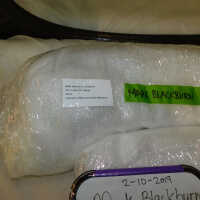          Textile and Tribal Arts Show Rehousing Project picture number 47
