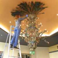          Golden Room picture number 414
