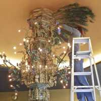          Golden Room picture number 416
