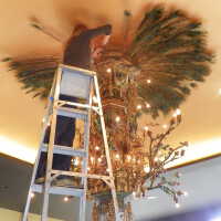          Golden Room picture number 421
