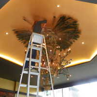          Golden Room picture number 422

