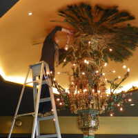          Golden Room picture number 423
