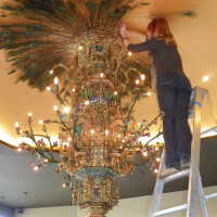          Golden Room picture number 429
