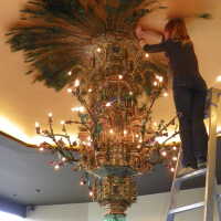          Golden Room picture number 430
