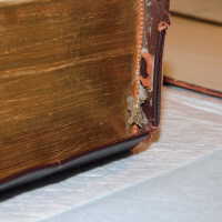          Family Bible picture number 10
