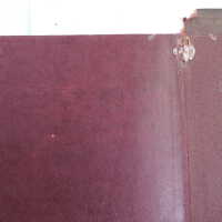          Family Bible picture number 11
