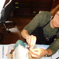          Gail picture number 9
