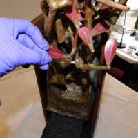          Tree in Box/Plant with red leaves picture number 20
