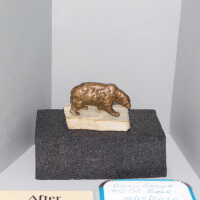          Bear picture number 7
