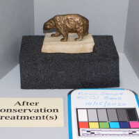          Bear picture number 9
